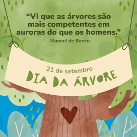 Dia da Árvore!